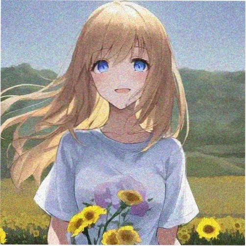 观众白鸟的头像